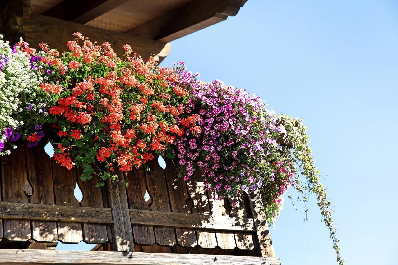 Stelle Chalet Martina Livigno Exterior photo